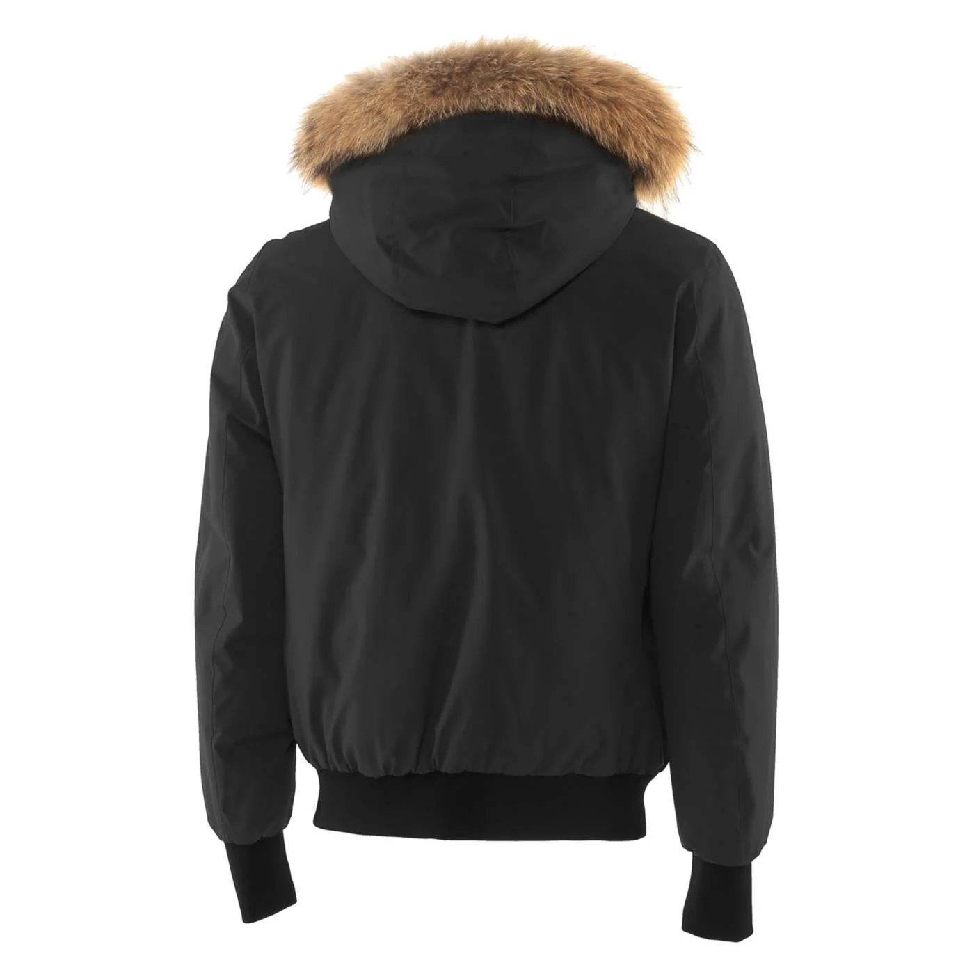 ANTARTICA ORKNEY BOMBER - Image 2