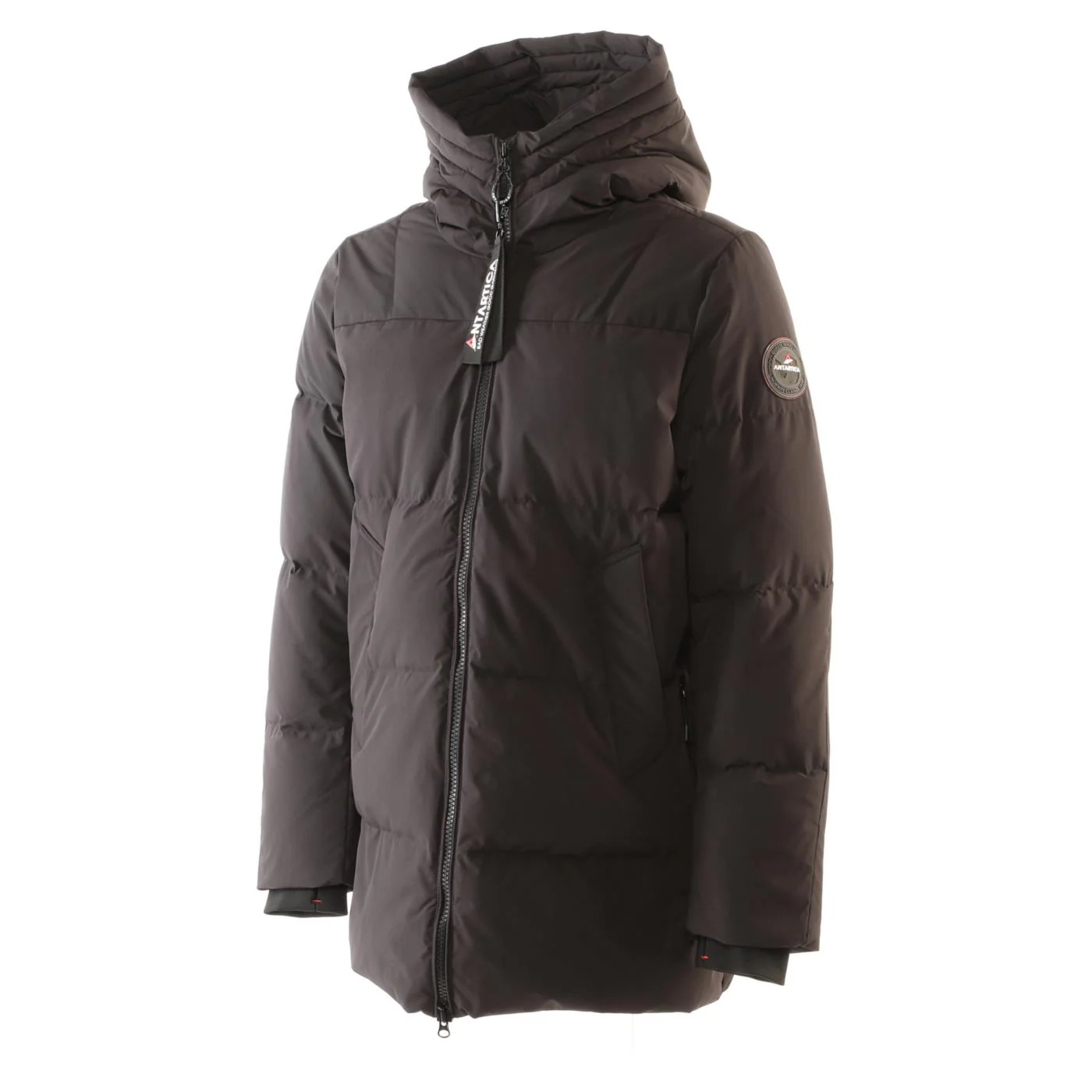ANTARTICA ROBERT - Image 2