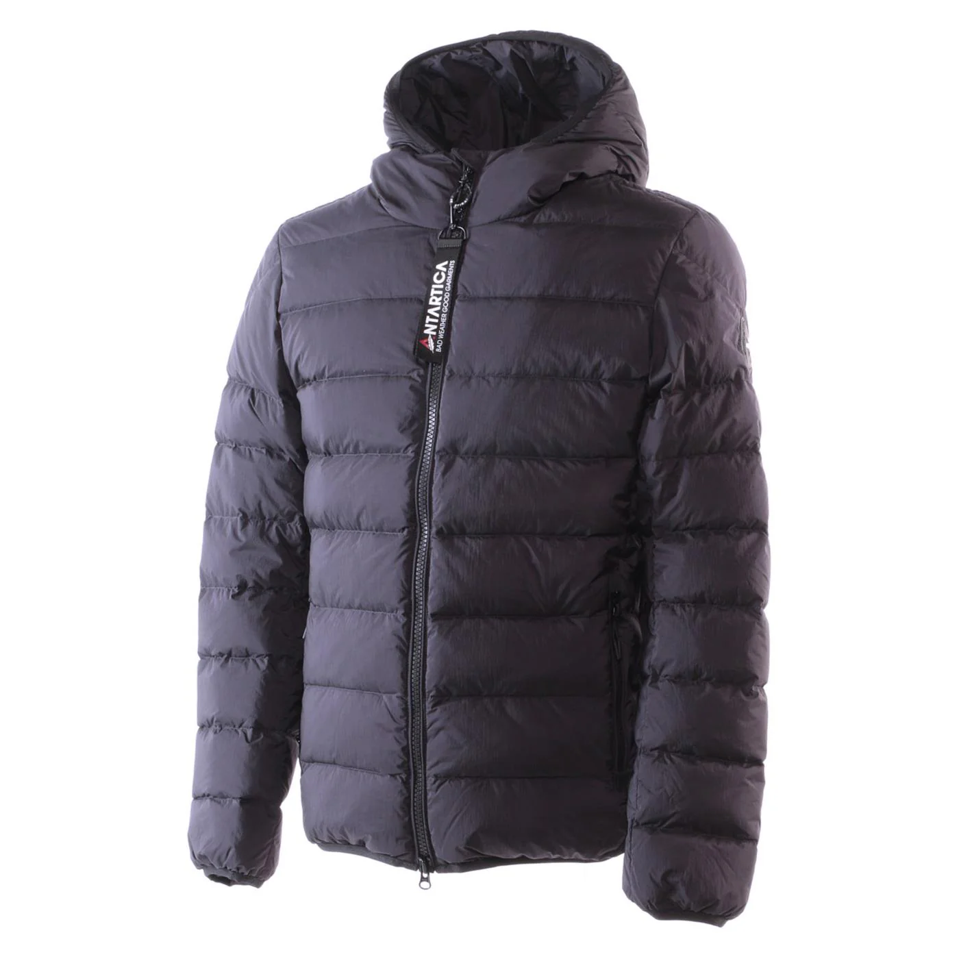 ANTARTICA TARO - Image 3