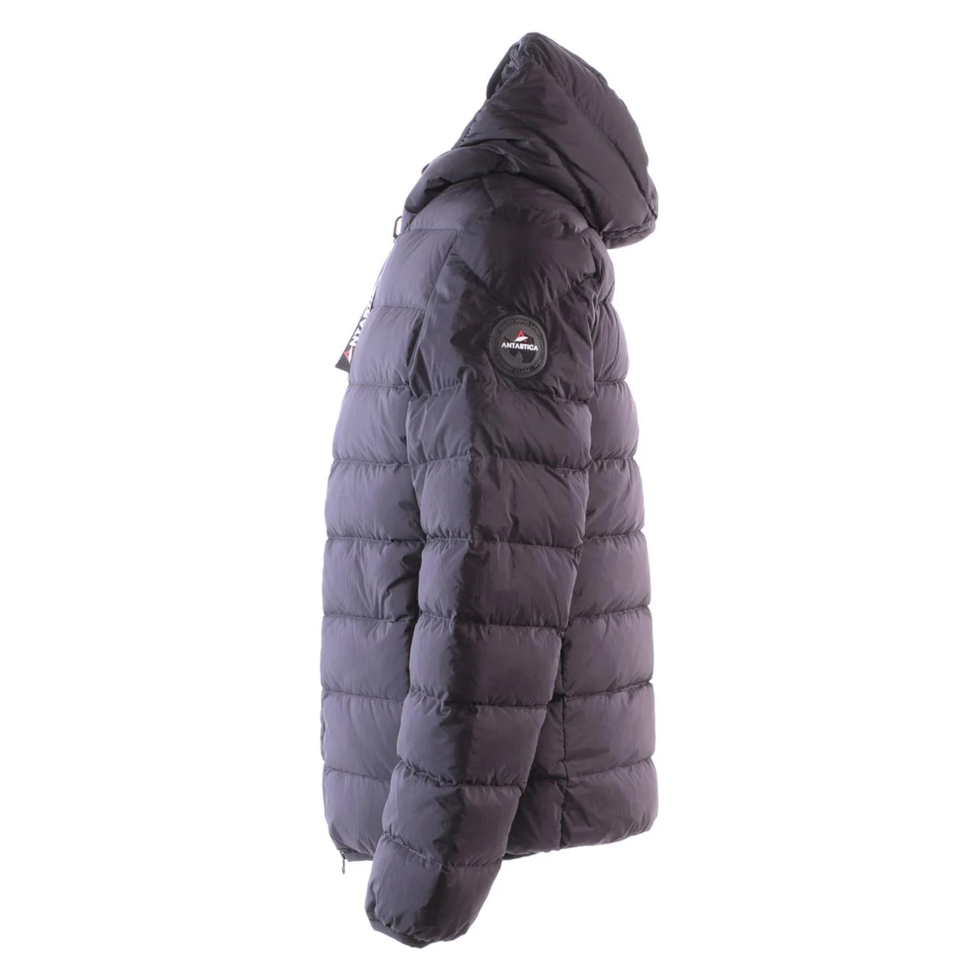 ANTARTICA TARO - Image 4