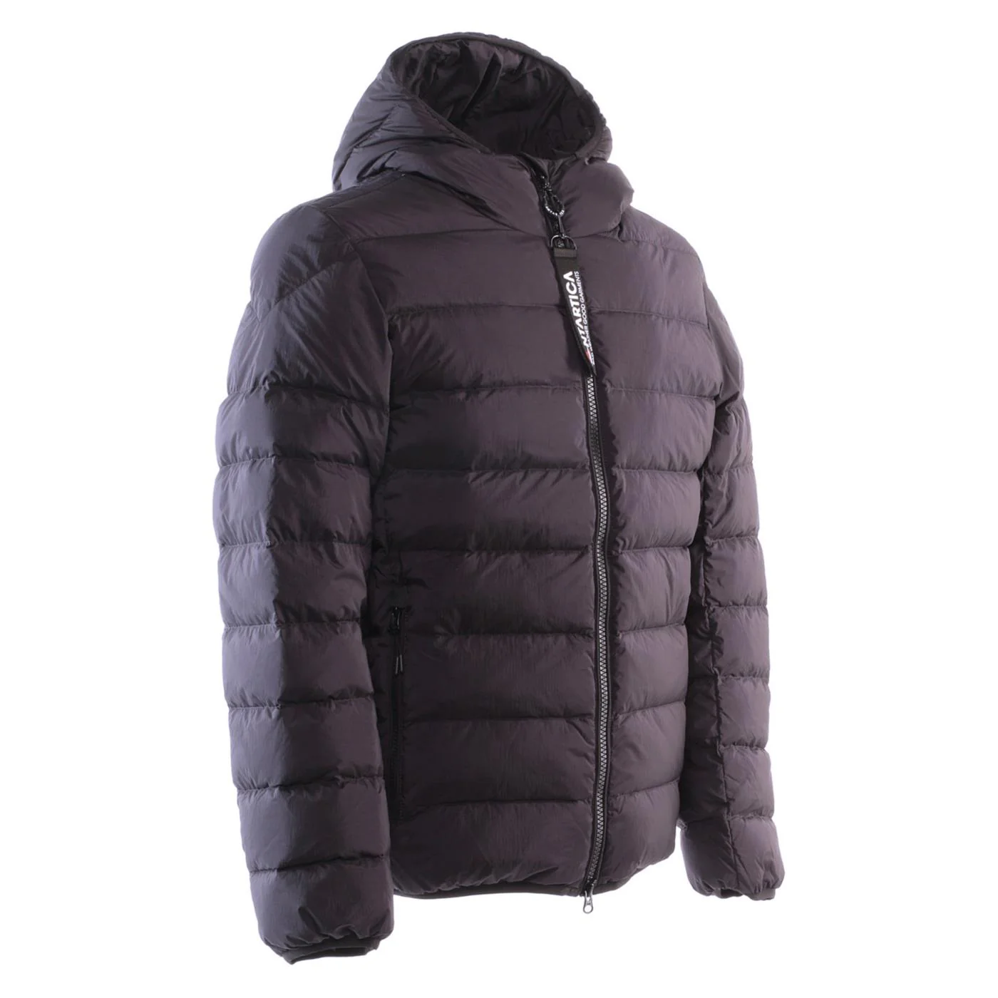 ANTARTICA TARO - Image 5