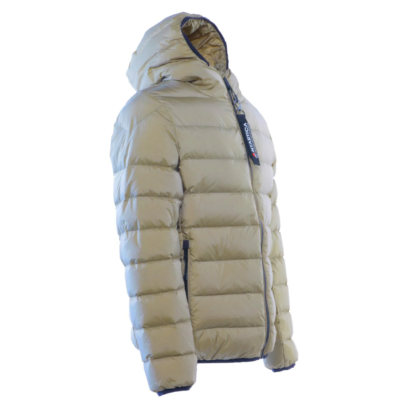 ANTARTICA TARO - Image 2