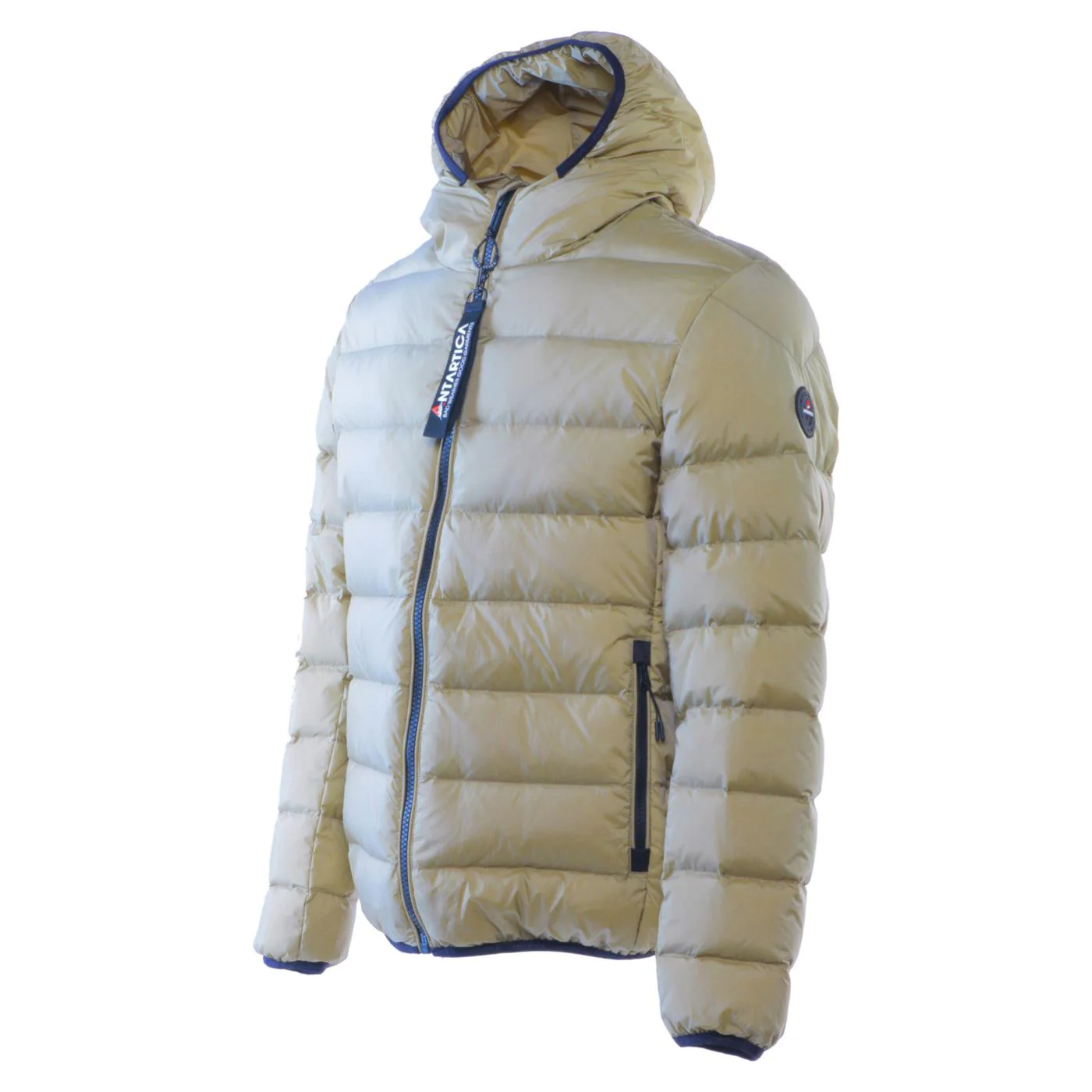 ANTARTICA TARO - Image 3