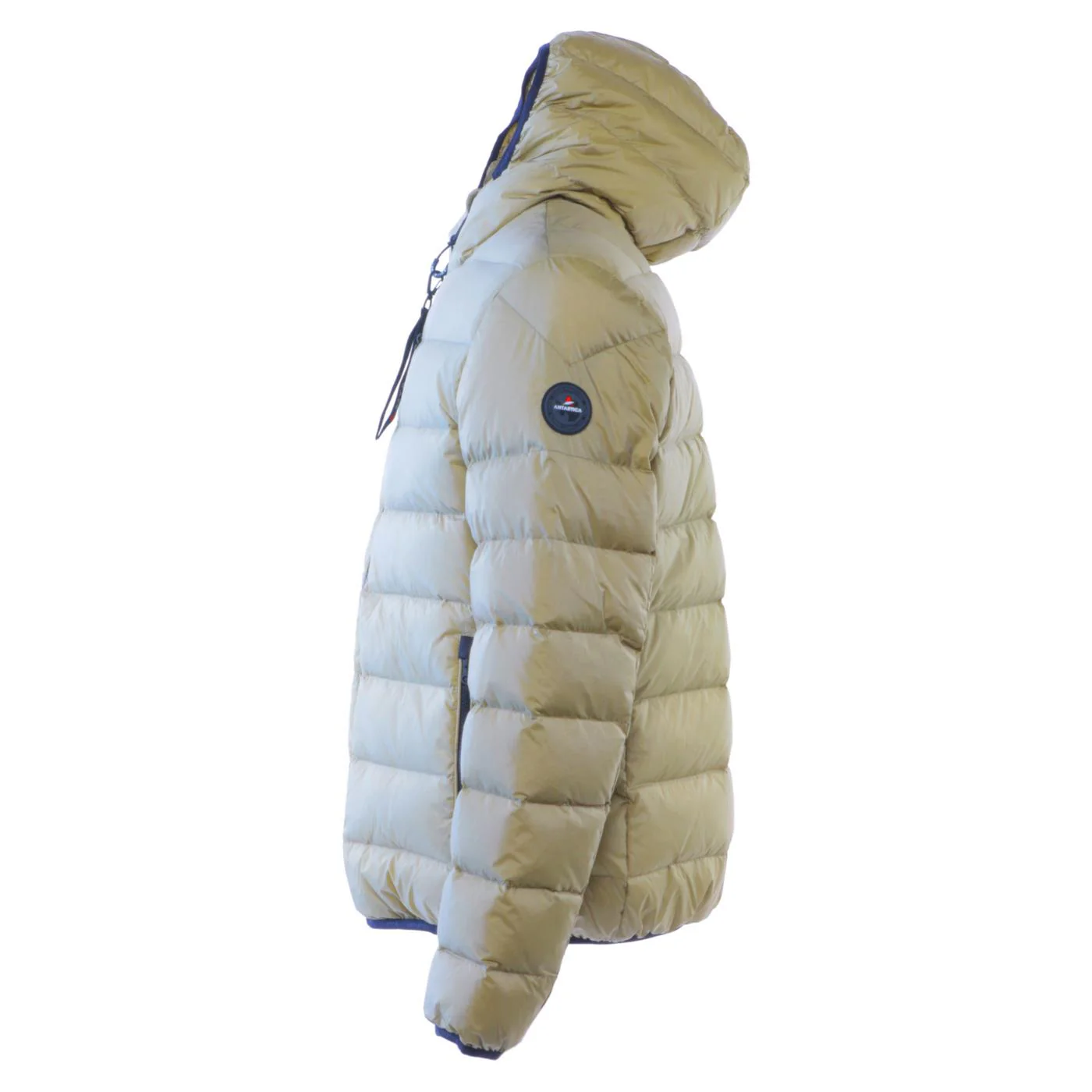 ANTARTICA TARO - Image 4
