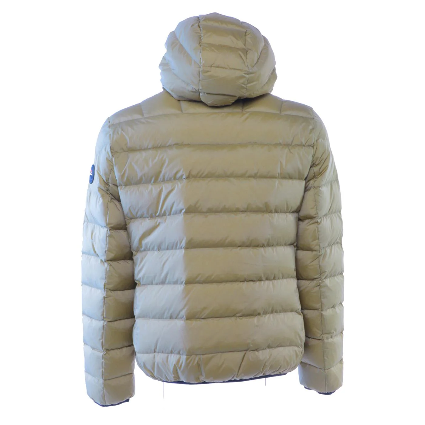 ANTARTICA TARO - Image 5