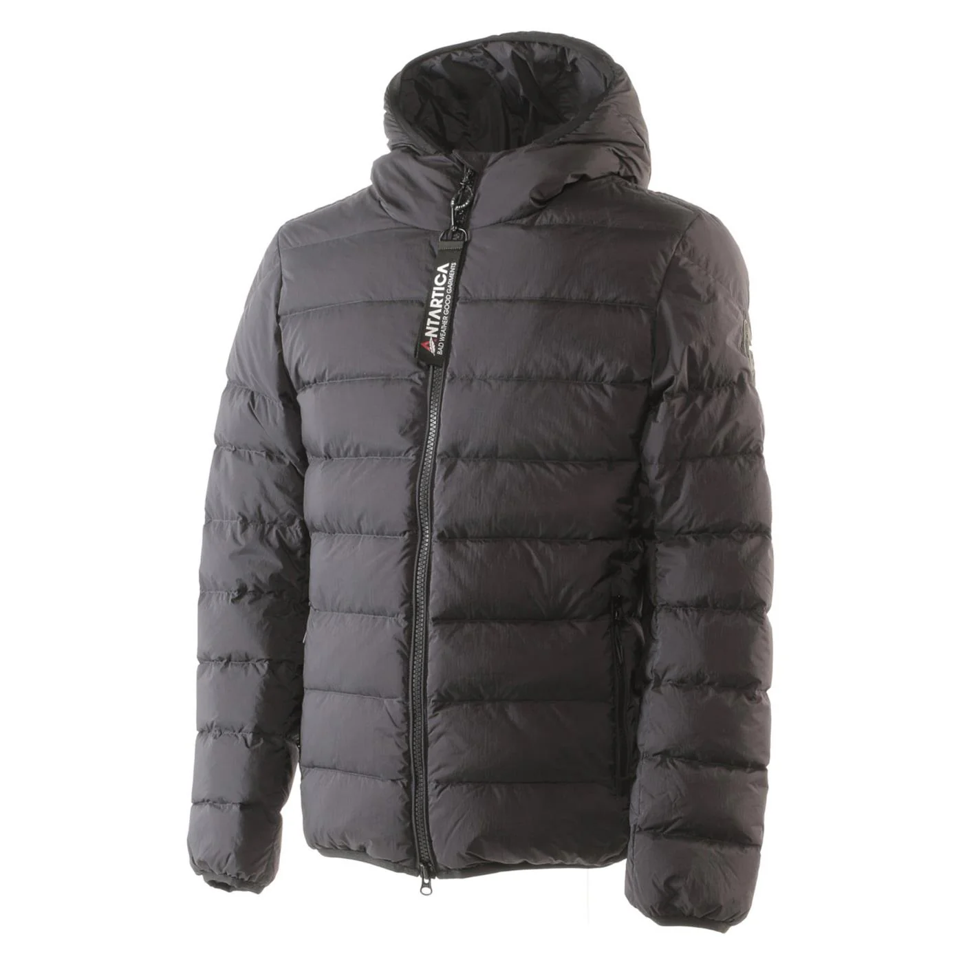 ANTARTICA TARO - Image 3