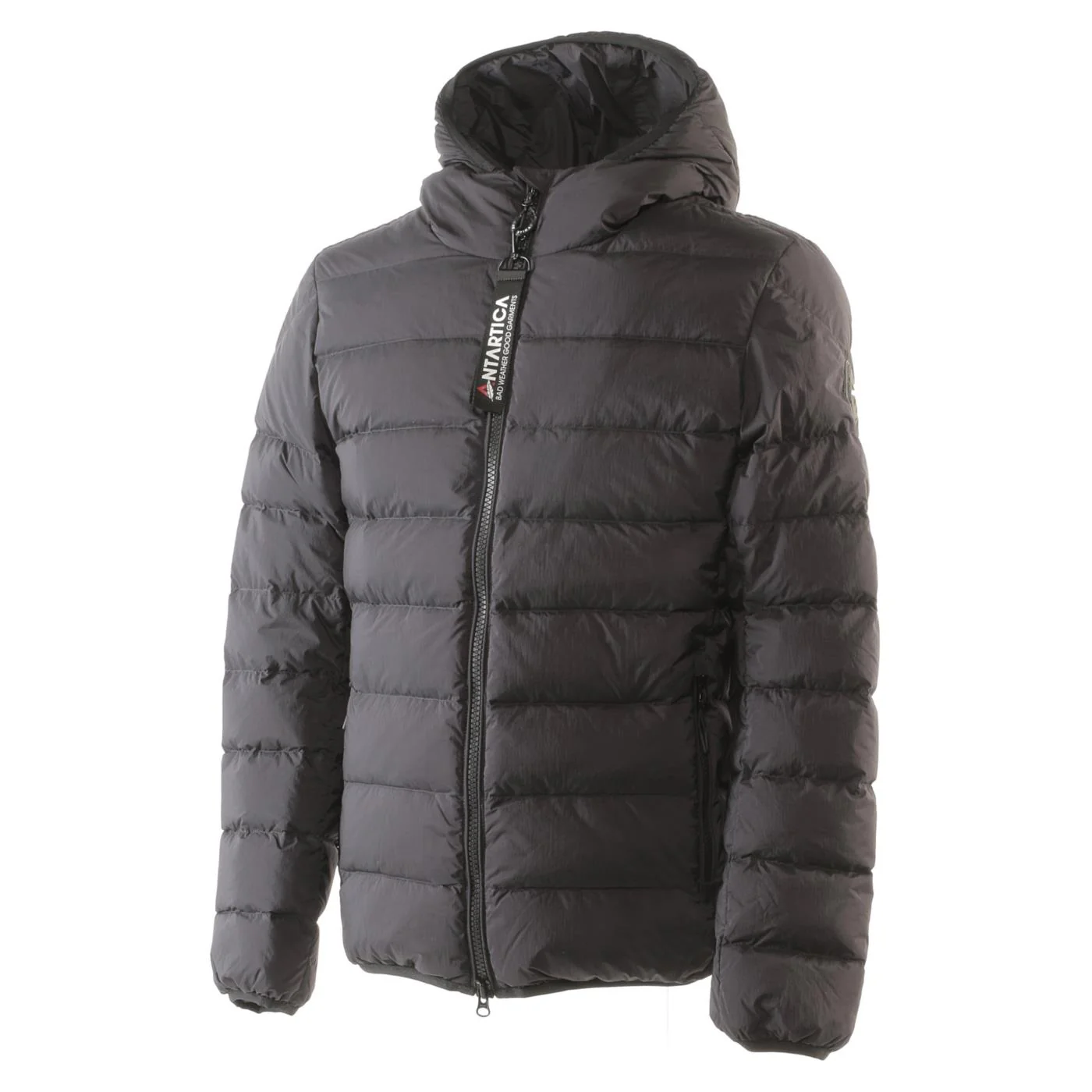 ANTARTICA TARO - Image 2