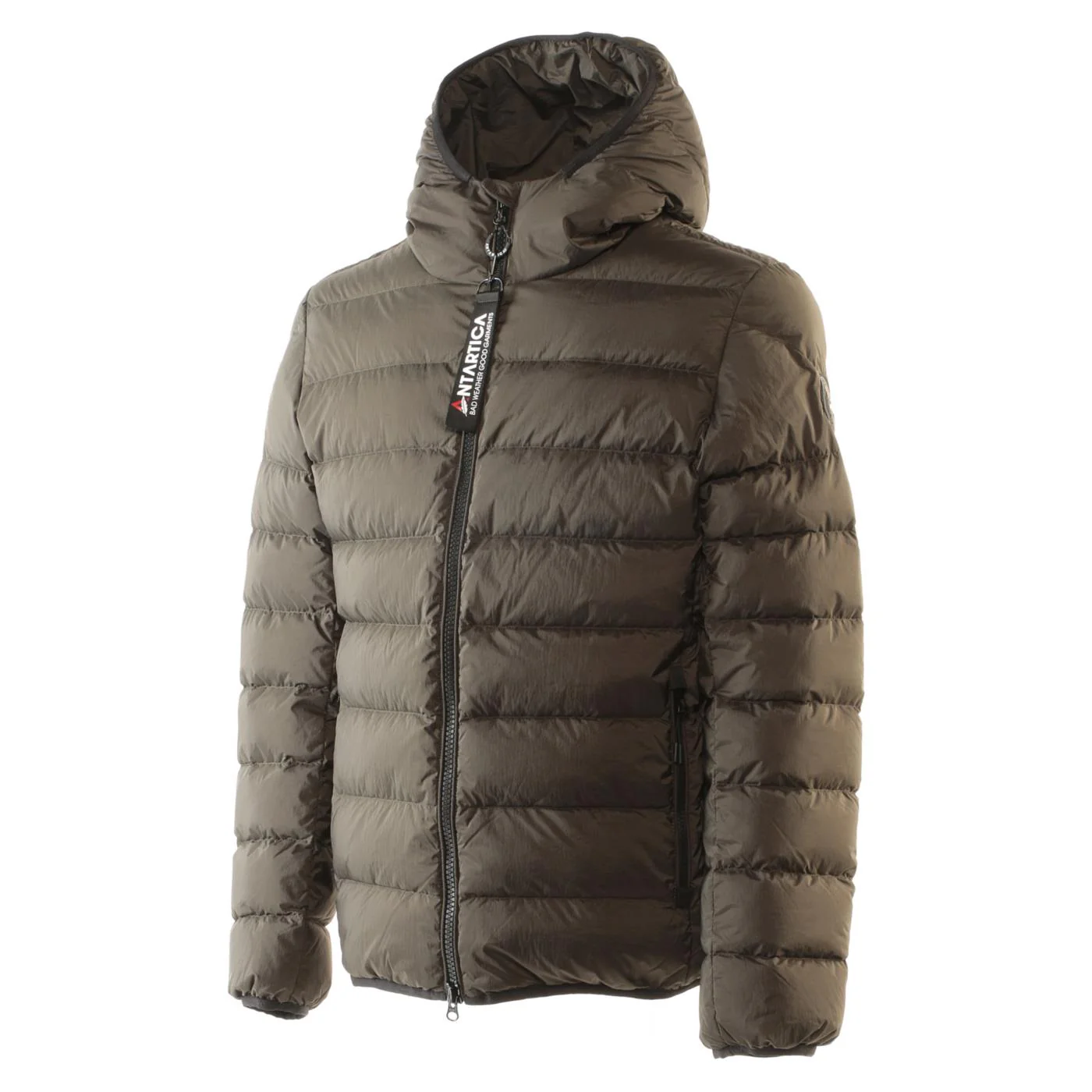 ANTARTICA TARO - Image 2