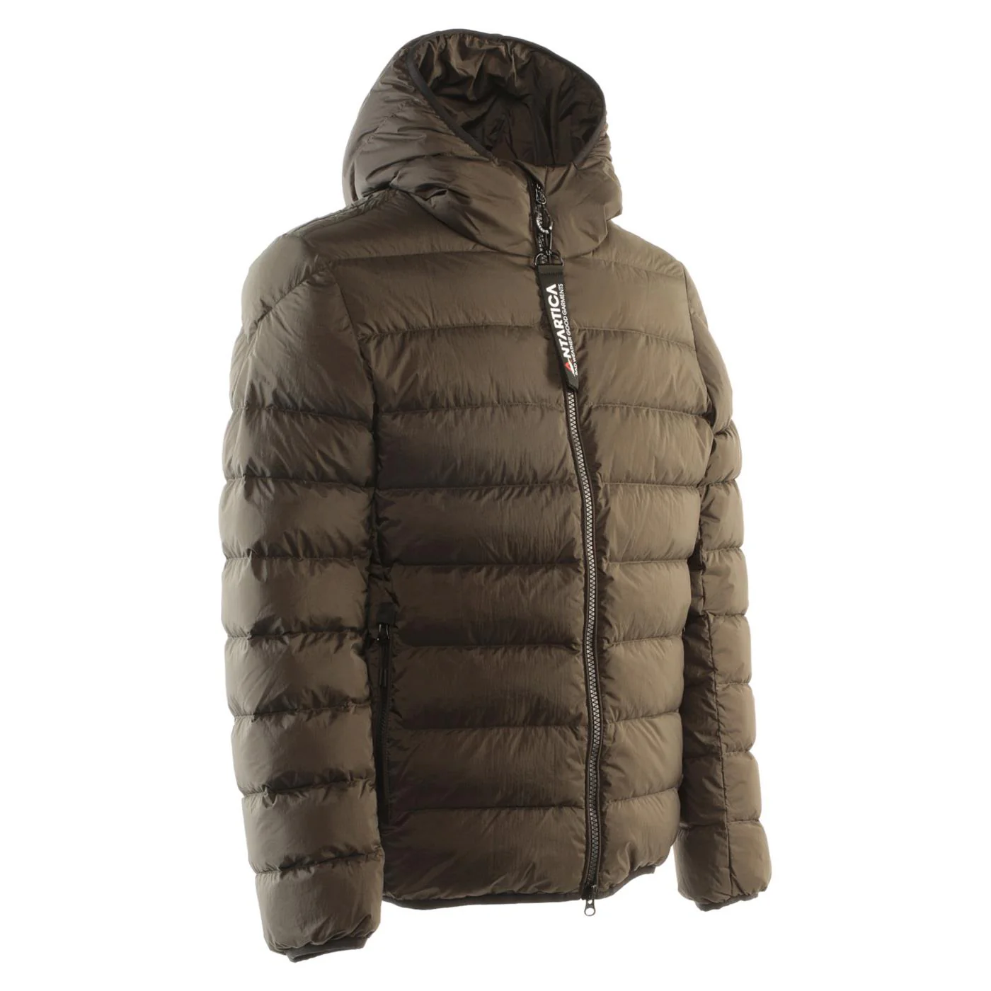ANTARTICA TARO - Image 3