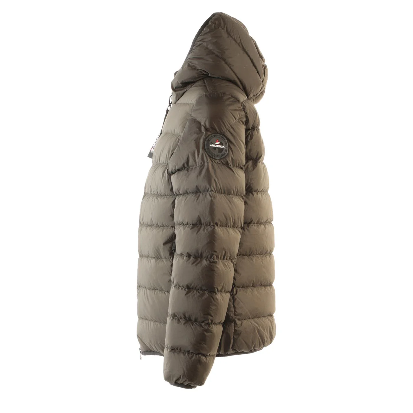 ANTARTICA TARO - Image 4