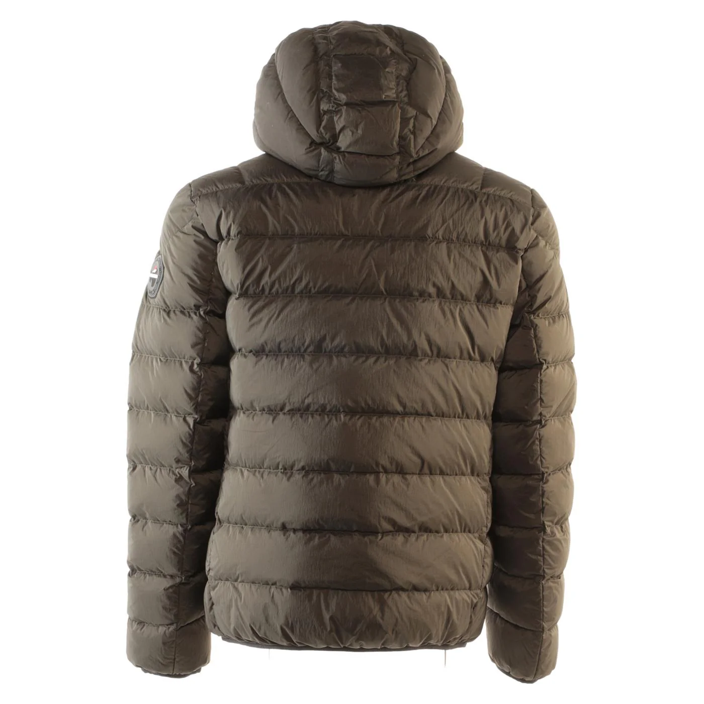 ANTARTICA TARO - Image 5