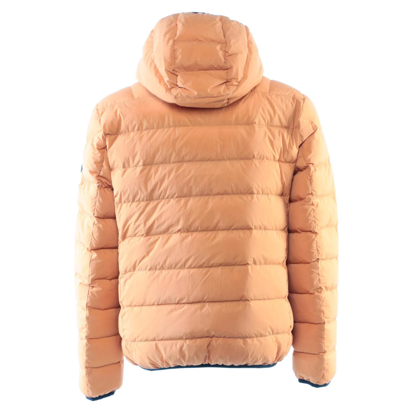 ANTARTICA TARO - Image 2