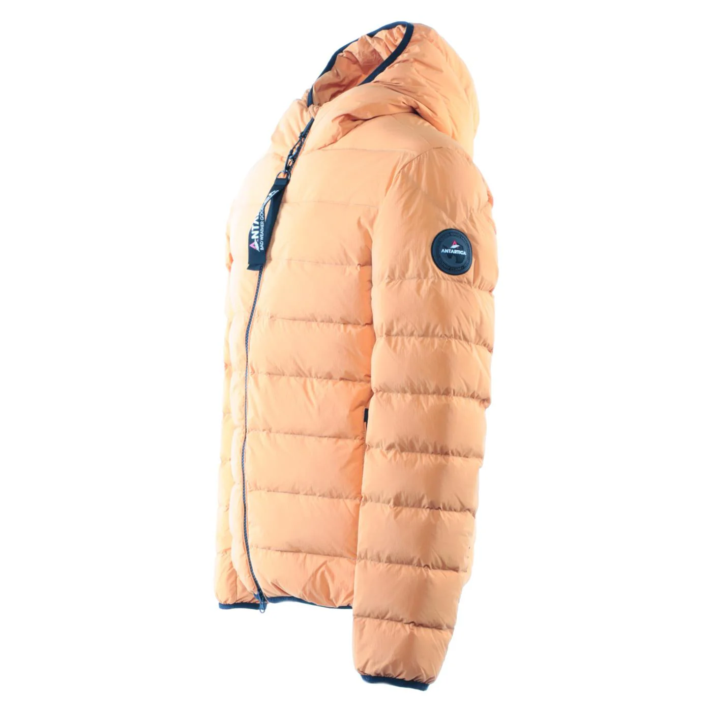 ANTARTICA TARO - Image 3