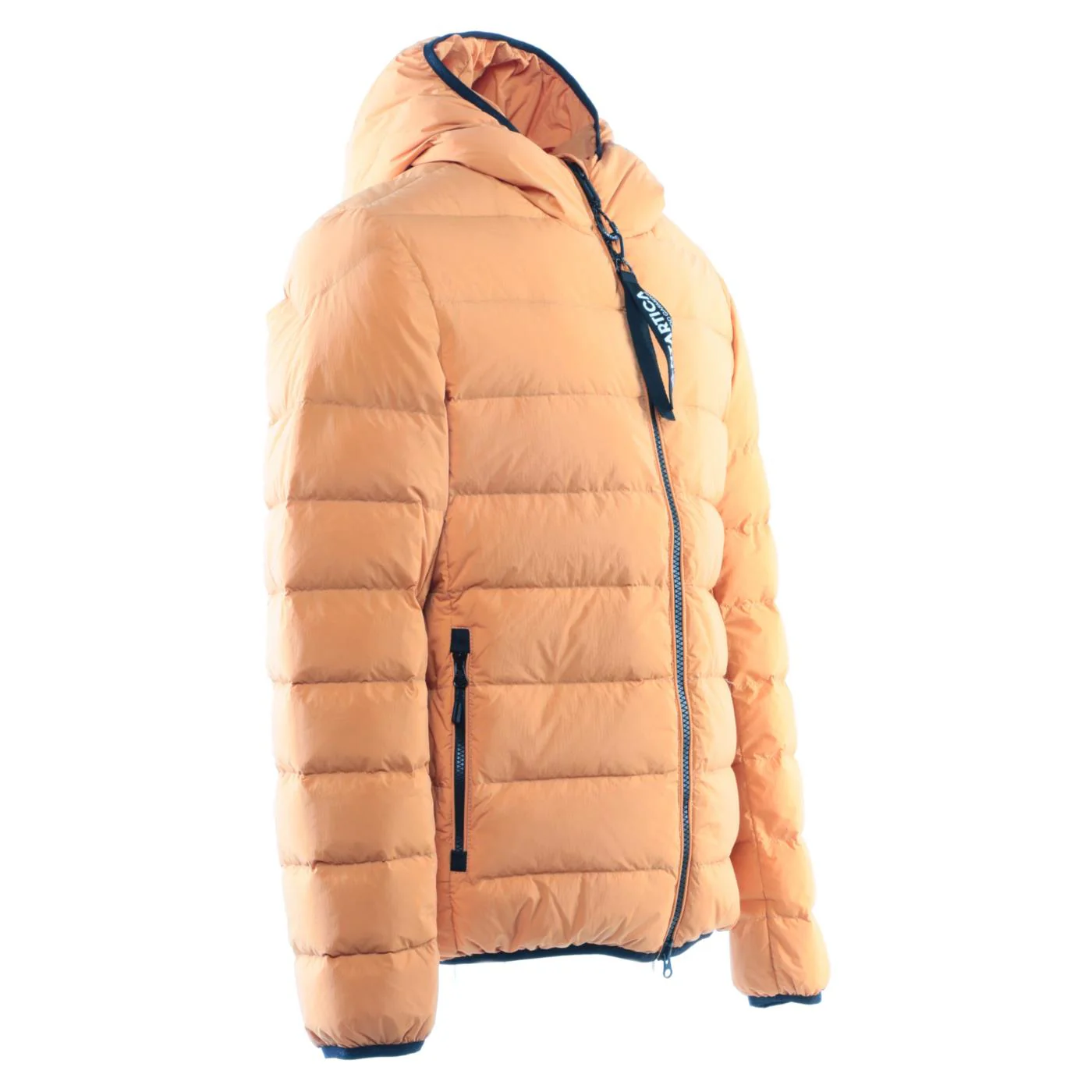 ANTARTICA TARO - Image 4