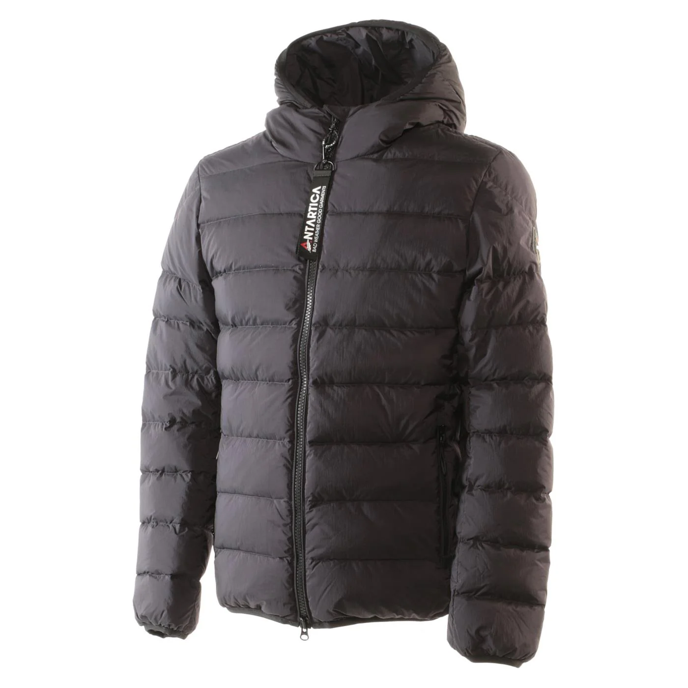 ANTARTICA TARO - Image 2