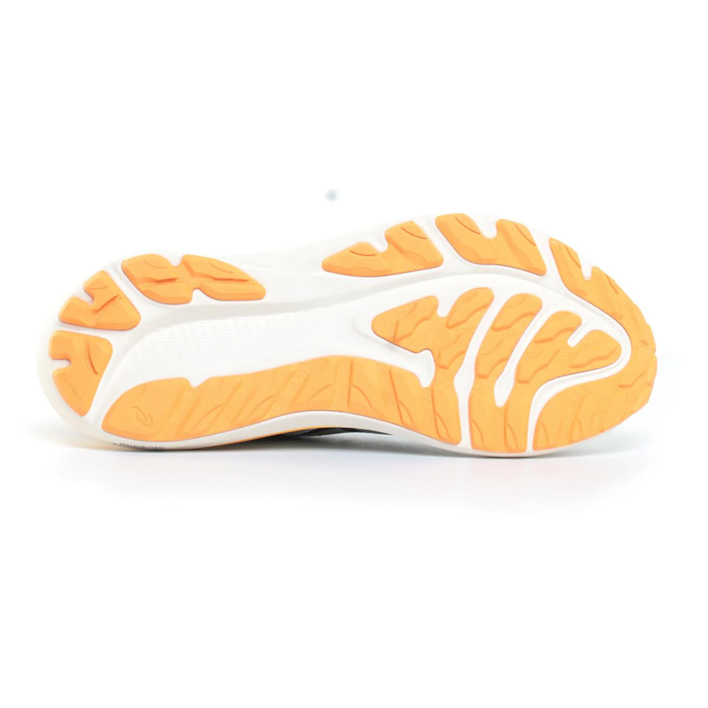 ASICS GT-2000 12 TR - Image 3