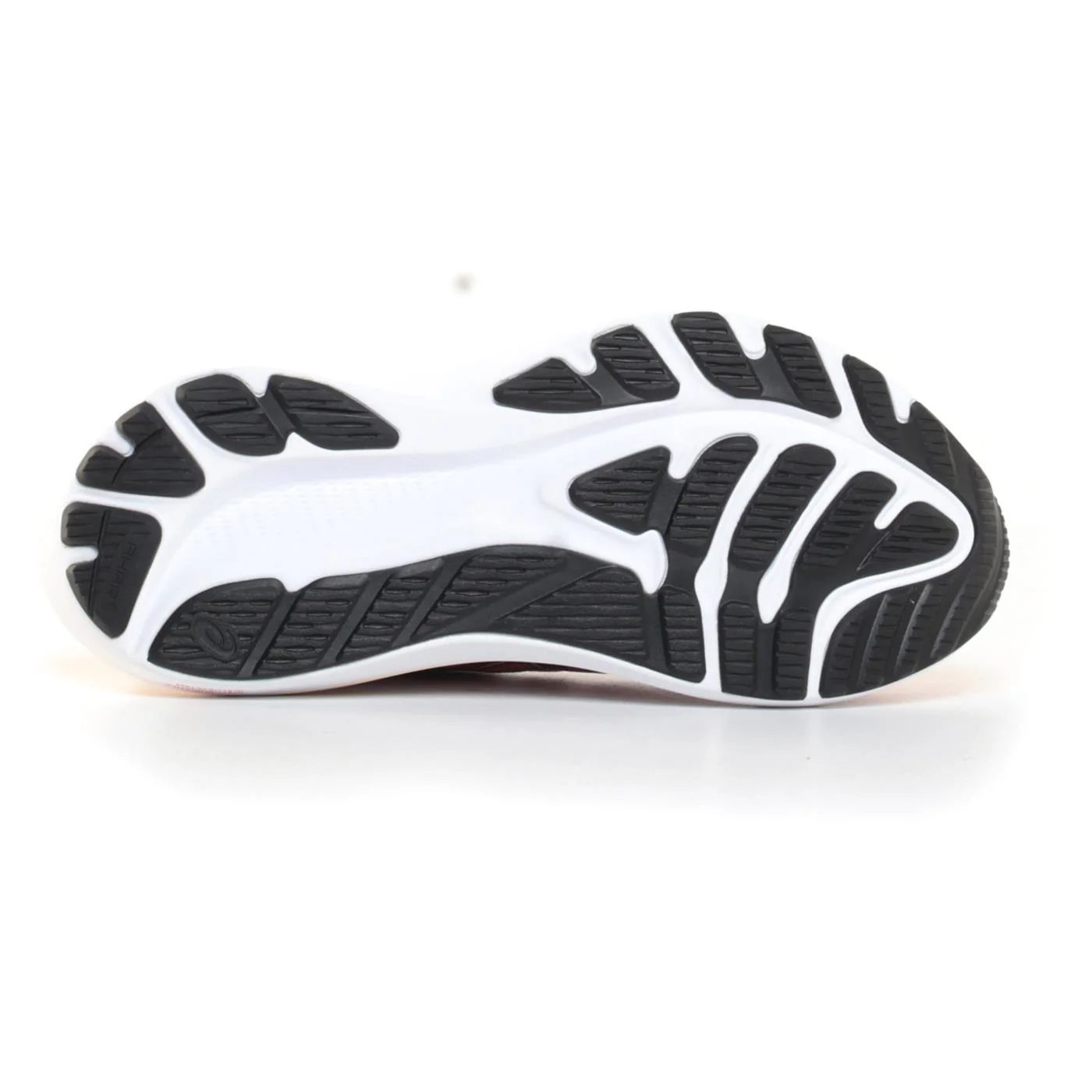 ASICS GT-2000 12 WOMAN - Image 3