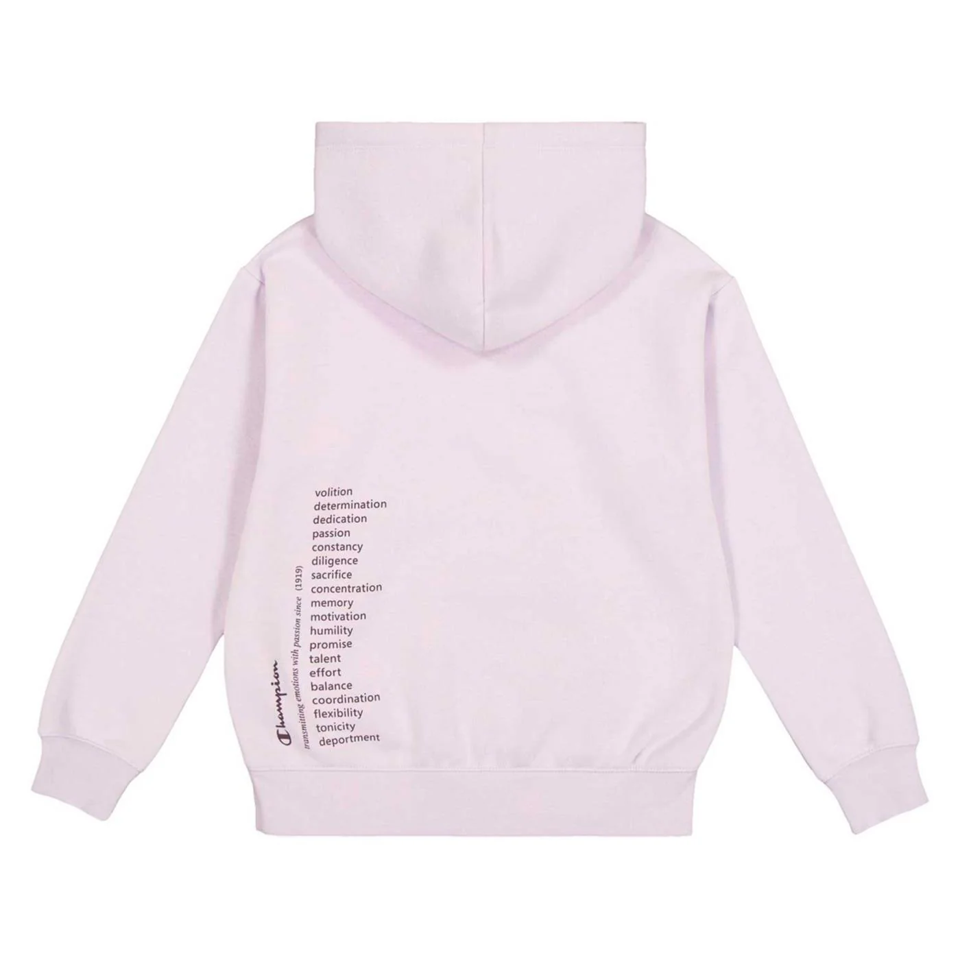 CHAMPION JR HOODED SWEATSHIRT - Image 2