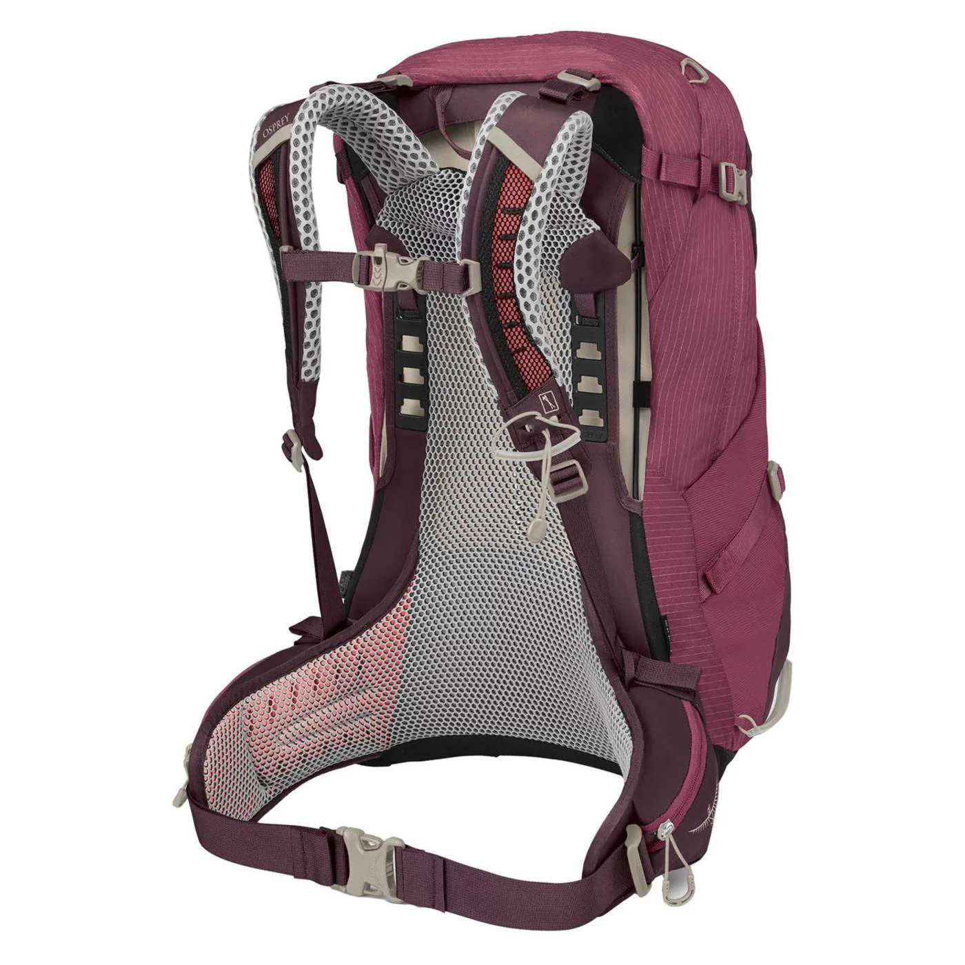 OSPREY SIRRUS 34 - Image 2