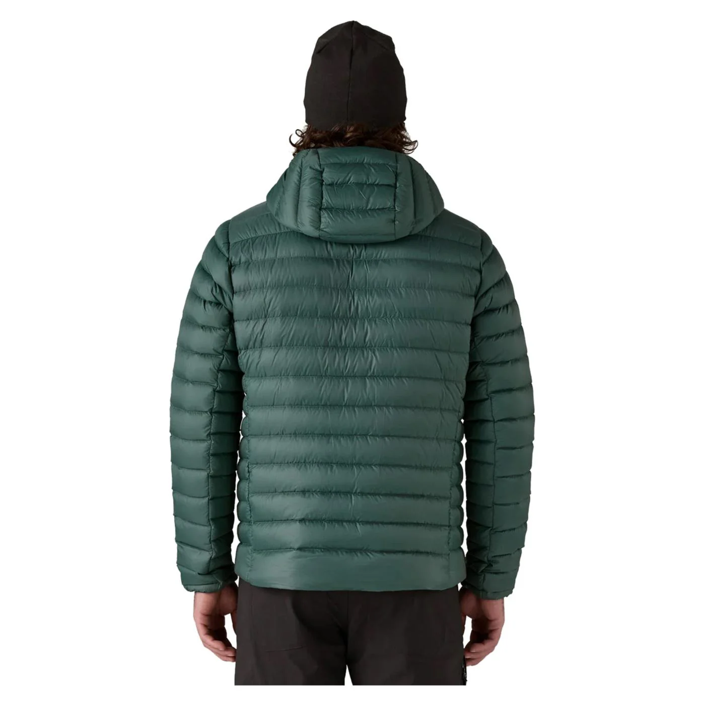 PATAGONIA DOWN SWEATER HOODY - Image 3