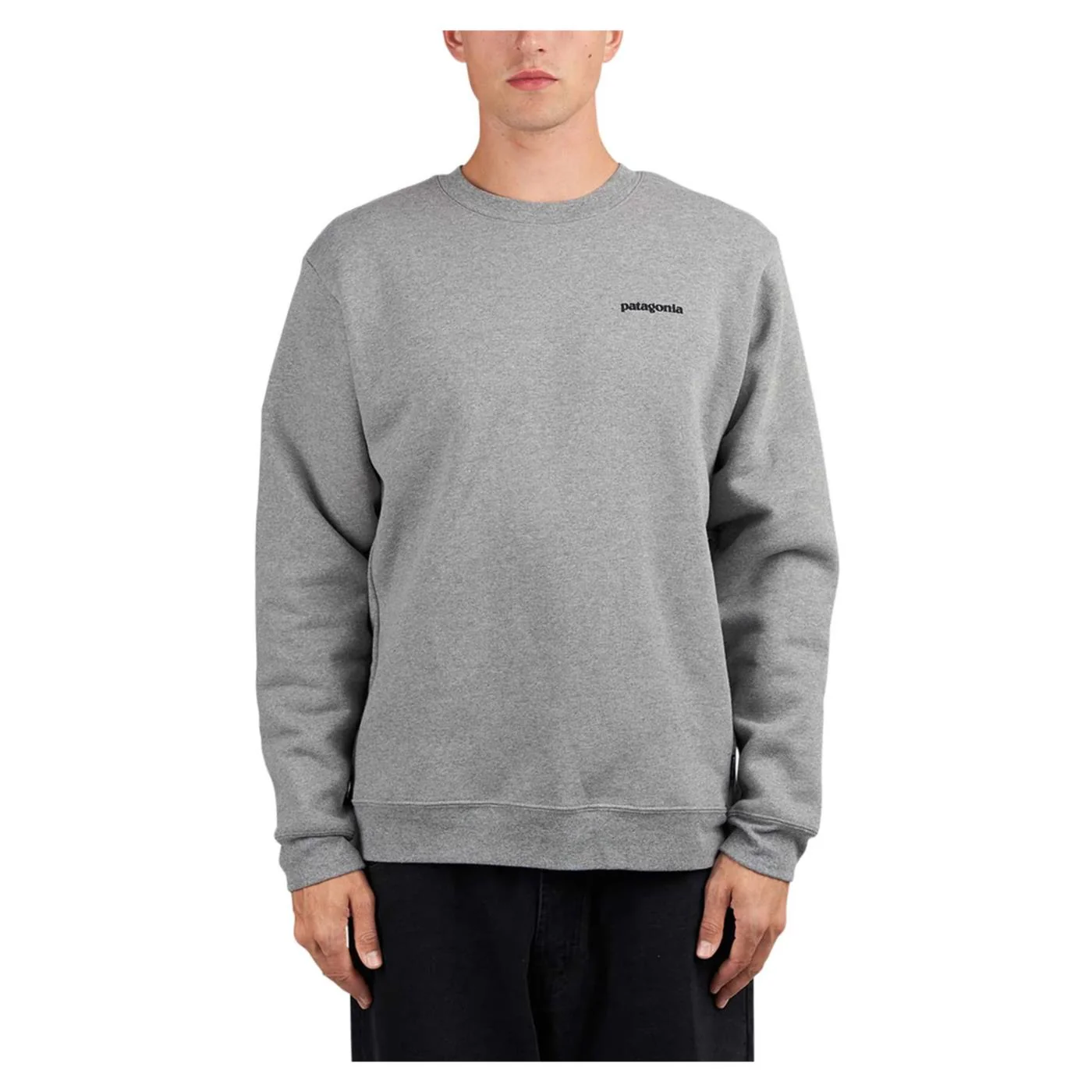 PATAGONIA FITZ ROY ICON CREW - Image 2