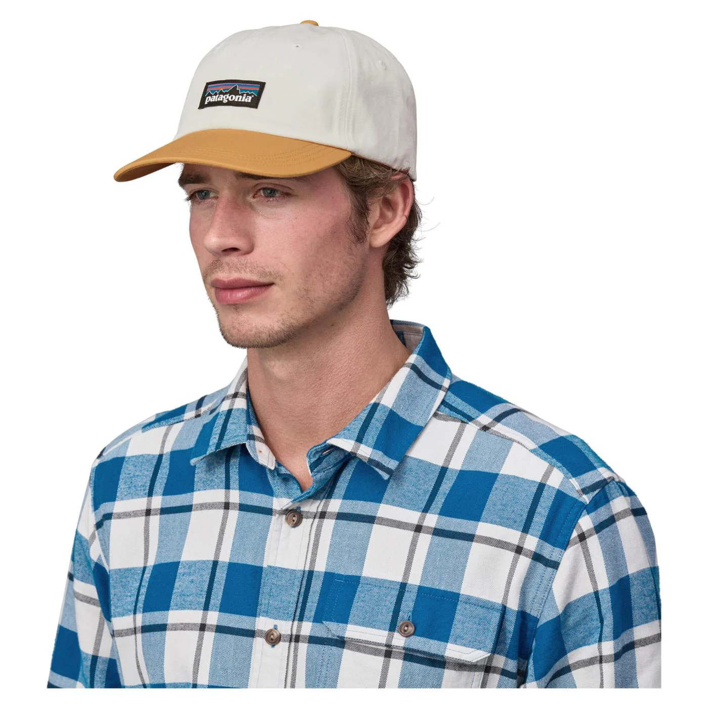 PATAGONIA P-6 LABEL TRAD CAP - Image 2