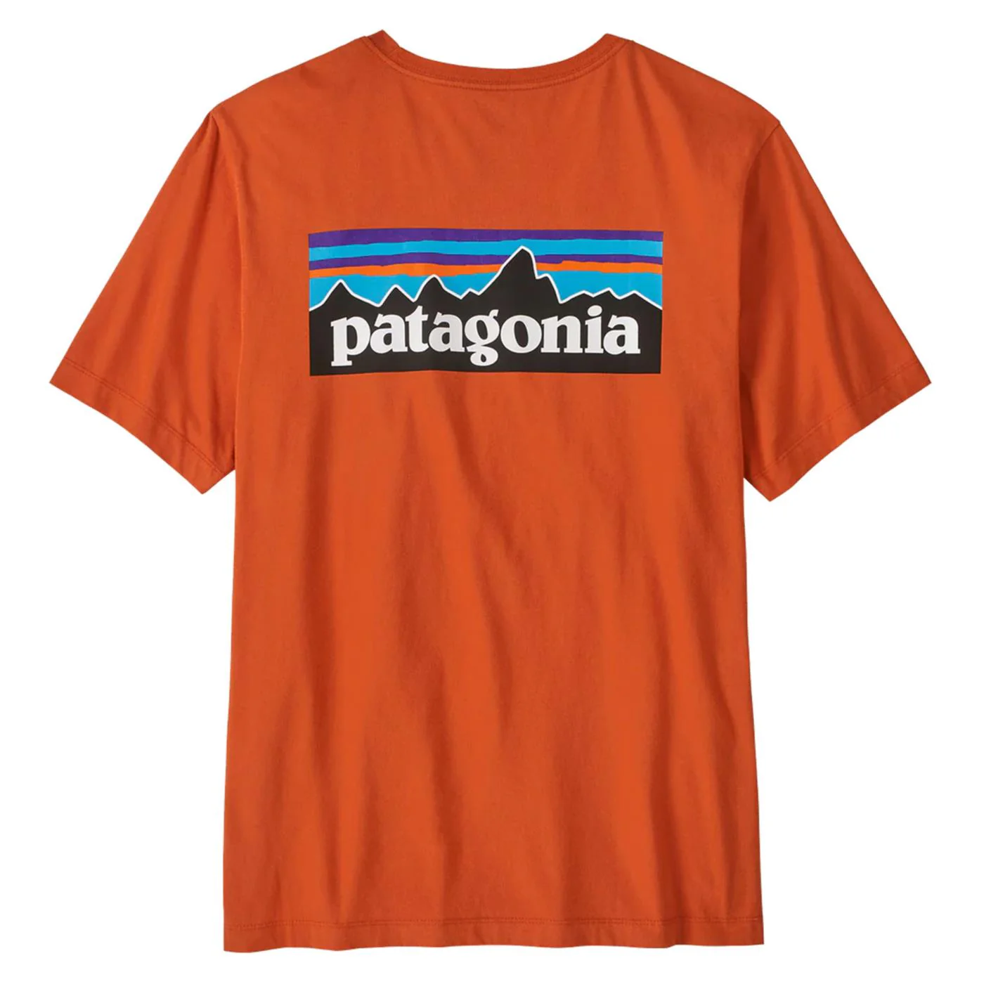 PATAGONIA P-6 LOGO T-SHIRT - Image 2