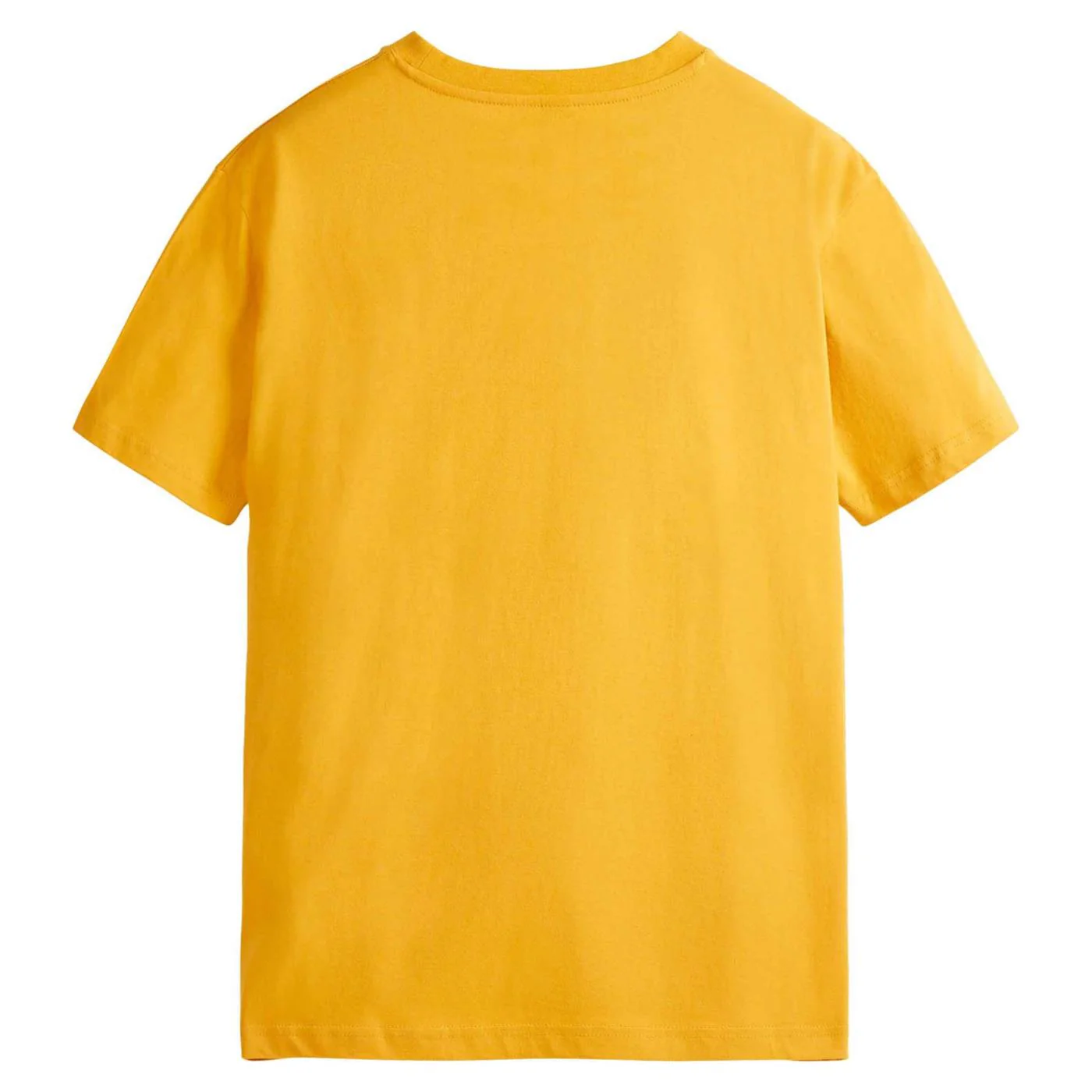PICTURE AUTHENTIC TEE - Image 2