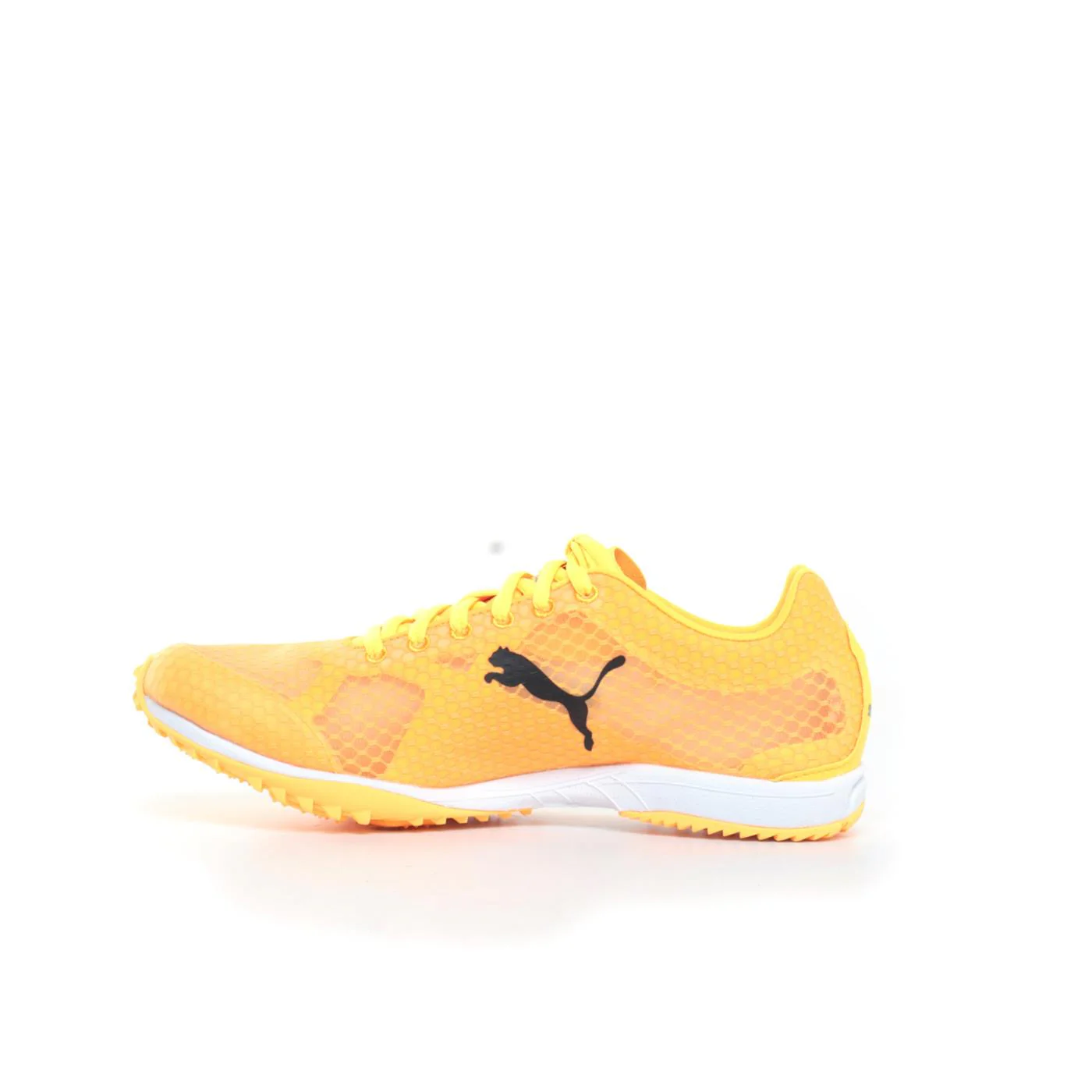 PUMA EVOSPEED HARAKA 8 - Image 2