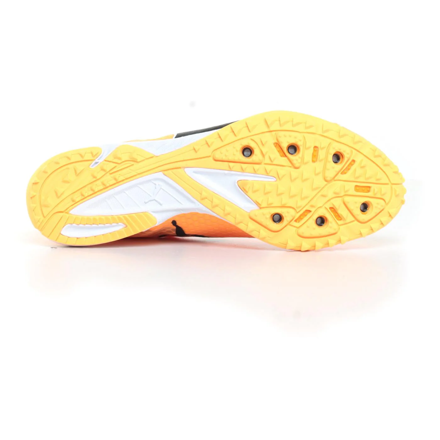 PUMA EVOSPEED HARAKA 8 - Image 3