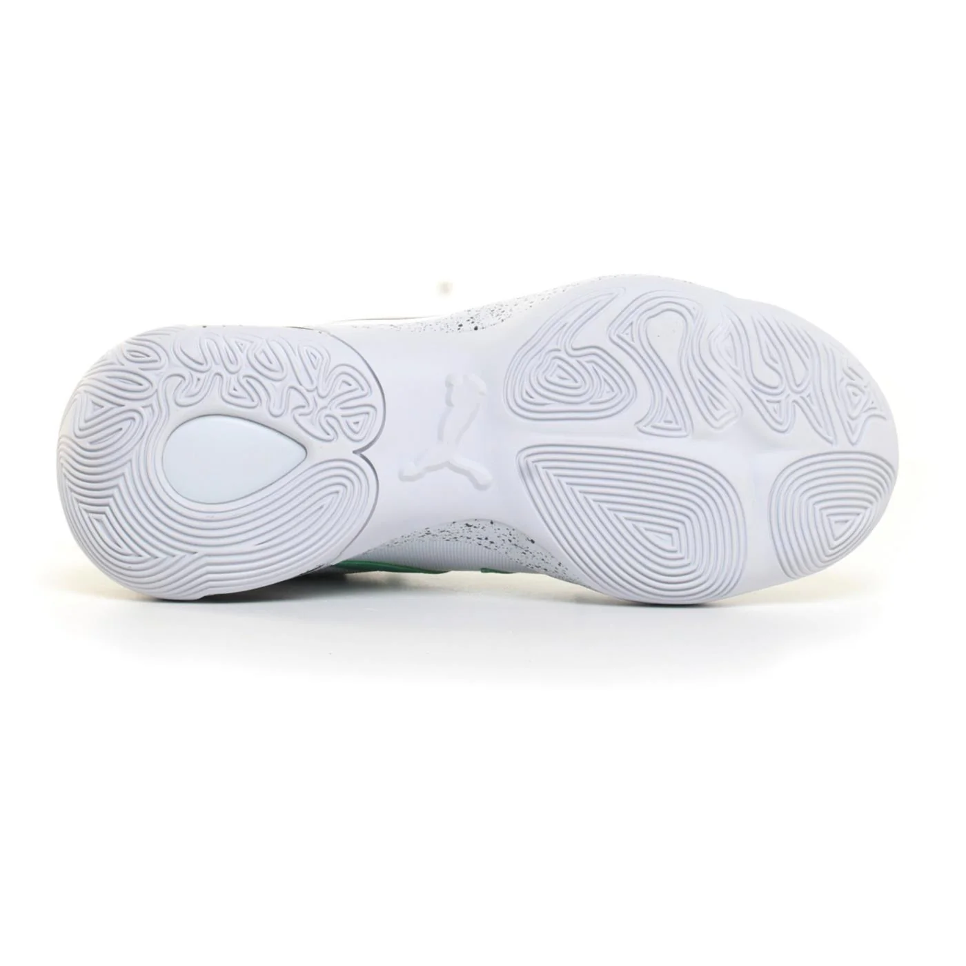 PUMA GENETICS SPECKLE - Image 3