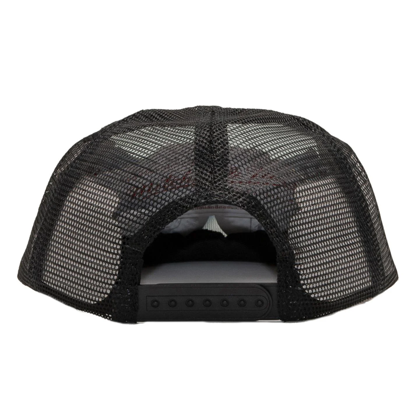 SANTA CRUZ CLASSIC HAND MESH BACK - Image 2
